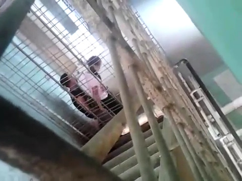 Bokep Indo Ngintip anak sma ngentot dijenjang sekolah